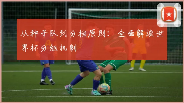 从种子队到分档原则：全面解读世界杯分组机制